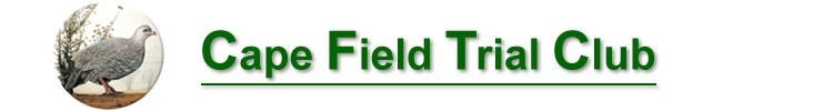 Description:
    D:\$2P\05 FTLC\Web    2012\120711\up\images\CFTC_Logo_2012_Letterhead.jpg