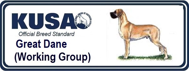 great dane kusa accredited breeders