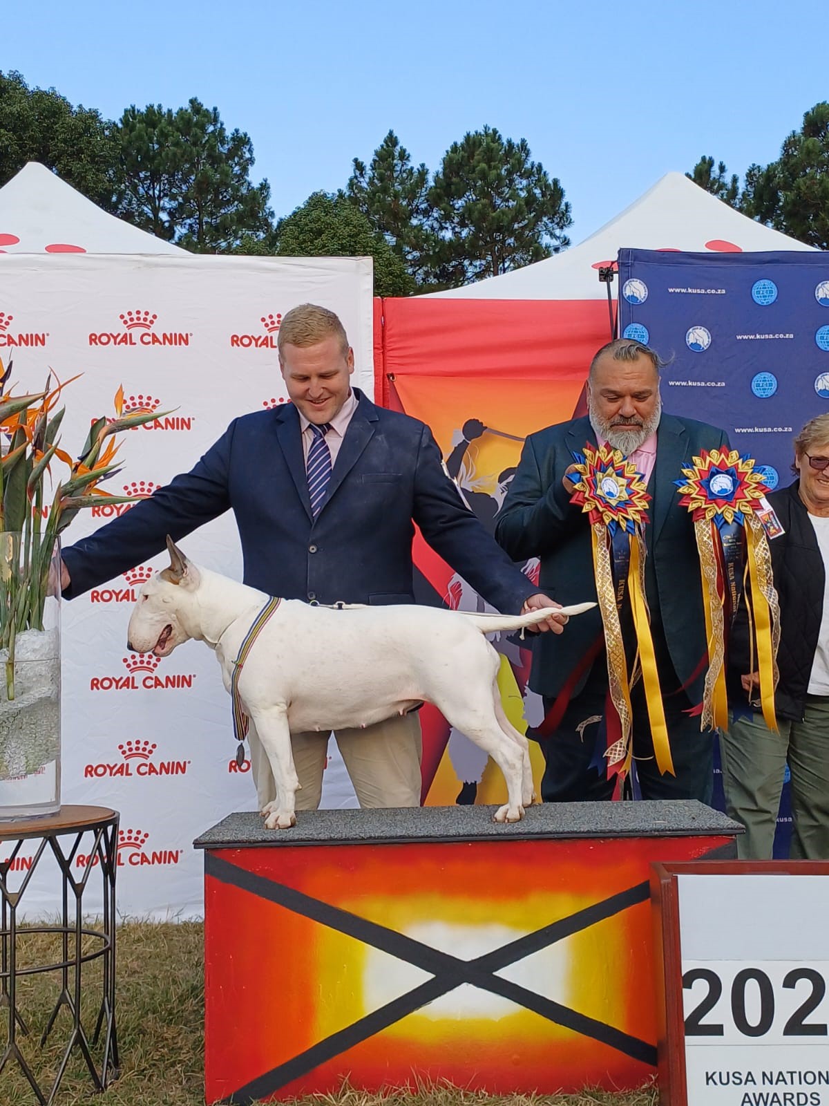 nat terrier winner