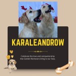 KARALEANDROW (Golden Retriever)