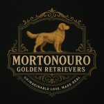 MORTONOURO (Golden Retriever) MORTONOURO (Golden Retriever)