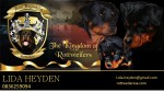 VOM HEYDEHEIM (Rottweiler)