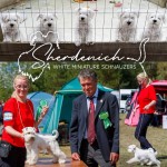 SHERDENICH (Miniature Schnauzer)