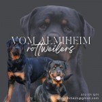 VOM ALMIHEIM (Rottweiler)